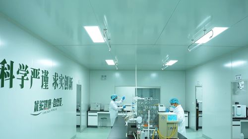 新疆木壘 優(yōu)駝長眉駝工廠投產(chǎn)，以生物科技驅(qū)動(dòng)全產(chǎn)業(yè)鏈，擘畫鄉(xiāng)村振興新藍(lán)圖