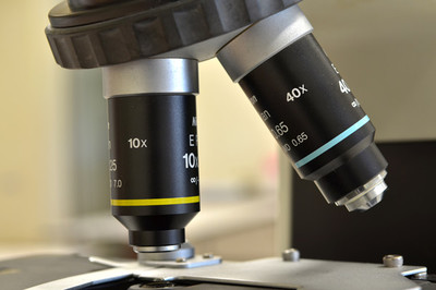 生物經(jīng)濟(jì) 定義、核心特征與生物技術(shù)開發(fā)服務(wù)的驅(qū)動(dòng)作用